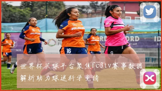世界杯买球平台聚焦fc3tv赛事数据解析助力球迷科学竞猜